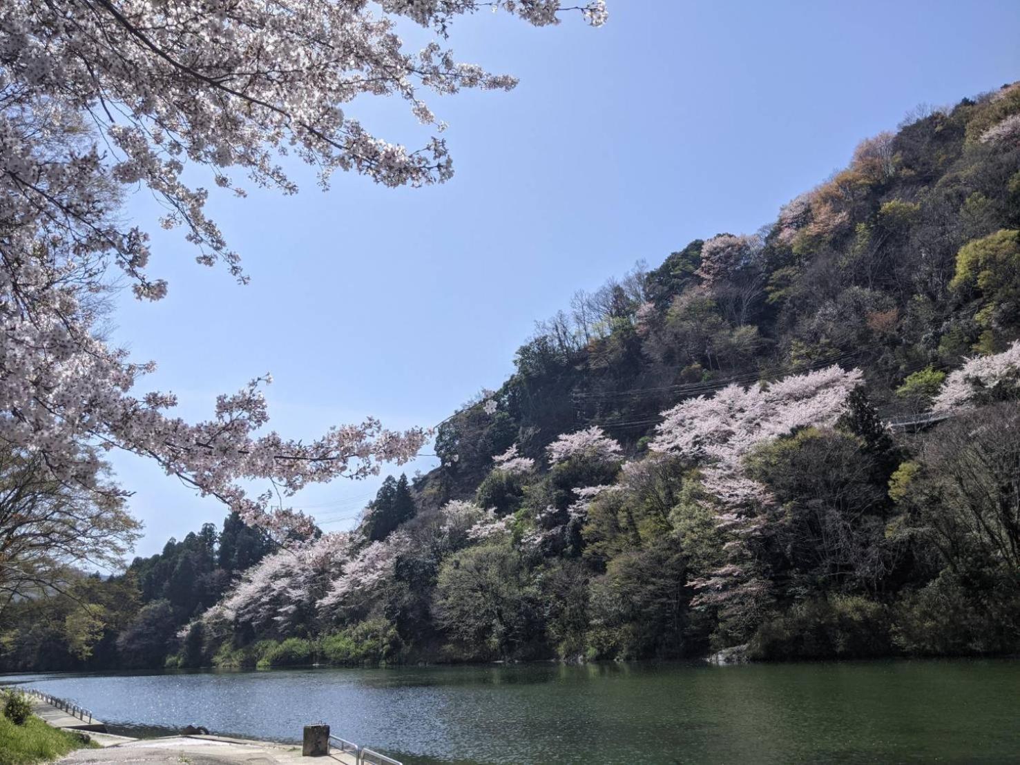 加美屋リゾート伊勢神宮 おかげの庭 Villa Ise Exterior photo