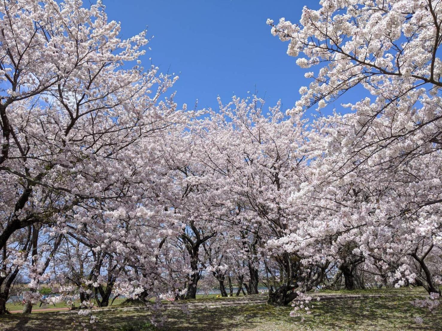 加美屋リゾート伊勢神宮 おかげの庭 Villa Ise Exterior photo